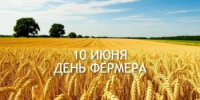 10 июня - День российского фермера - Пролетарский район