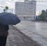 девушка с зонтом на остановке - ИА Nord-News.Ru