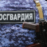 Испортить вечер не получилось: в Пензе росгвардейцы задержали пьяного скандалиста - Росгвардия