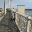 Водитель электросамоката доставлен в больницу после ДТП на Октябрьском мосту - Город Че