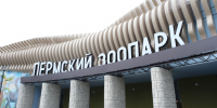 зоопарк - Новый Компаньон