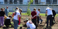 Более одной тысячи деревьев и кустарников высадили горожане в сквере у стелы «Комсомольск-на-Амуре – город Трудовой доблести» - Администрация г.Комсомольска-на-Амуре