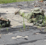 Военнослужащие ВВО в составе снайперских пар учатся поражать живую силу условного противника Пресс-служба Восточного военного округа - AmurMedia.Ru