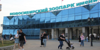 В Новосибирском зоопарке потерялись 10 детей - Gorsite.Ru