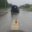 Вчера на пешеходном переходе сбили мальчика - Usinsk.In