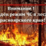 С 10 июня на всей территории Красноярского края в лесах введен режим чрезвычайной ситуации (ЧС). - Каратузский район