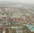 img - ЛДПР