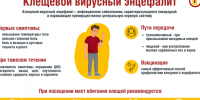 Мониторинг за клещевыми инфекциями на 08.06.2026г. - Бабушкинский муниципальный округ