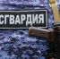 Росгвардия задержала дебошира в Пензенском баре - Progorod58.Ru