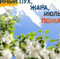 WQJatRI7ehOfEQ20kUmlfCjMiKORS1Y9lChtIp7JlA3c8sXvupLo6j3TTMeH5DvOPzCJVqCTBD8GFNEhpdkSgAK0.jpg - Красноярский район