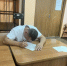 В Марий Эл любителя пьяного вождения лишили автомобиля - Марийская правда