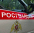 Росгвардейцы разоружили 29 жителей Тверской области - Газета Вся Тверь
