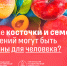 Минобрнауки РФ: Какие косточки и семена растений могут быть опасны для человека? - ВолгГТУ