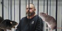 Лежневу в СИЗО мешают спать ранние обыски и огромные крысы - Орловский Вестник