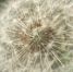 По информации ФГБУ «Северное УГМС». - Администрация г. Северодвинска