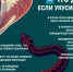 Осторожно, змеи! Как обезопасить себя на природе? - Администрация городского округа Самара