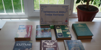 Затерянные миры Генри Хаггарда - Городская библиотека