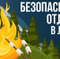 Безопасный отдых в лесу - ГУ МЧС Мурманской области