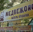 Детский лагерь отдыха "Медвежонок" - Сетевое издание Толк