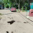 img - ЛДПР