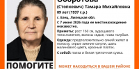 В Ельце ищут пропавшую 89-летнюю пенсионерку в шали малинового цвета - Липецкая ГТРК