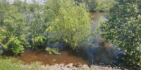 В Крымском районе Кубани погибла соя, кукуруза и клубника из-за паводка - KrasnodarMedia