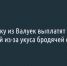 Подростку из Валуек выплатят 20 тысяч рублей из-за укуса бродячей собаки - Fonar.Tv