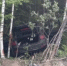 На трассе ХМАО в ДТП с лосем погибла девушка - 2Goroda.Ru