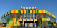 В омском цирке раскрыли причину пропажи лошади - СуперОмск