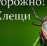 Осторожно, клещи!. - Емельяновский район