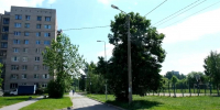 В Металлострое установят 454 современных фонаря - Петербургский дневник