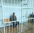 В Приморье арестовали мужчину, который забил мать табуретом - M24.Ru