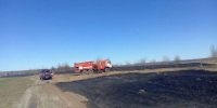 Число ландшафтных пожаров в Нижегородской области сократилось в 6 раз - НИА Нижний Новгород