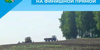 Посевная — на финишной прямой - Беловский район