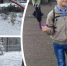 Сибирячка добивается компенсации после того, как на ее сына рухнуло дерево - Газета Бийский рабочий