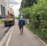 В Петербурге началась санитарная очистка леса под благоустройство Пейзажного парка - ТК Санкт-Петербург