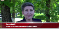 Видео - ТВН