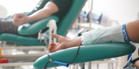 Специалисты Минцифры присоединились к донорскому движению в преддверии Всемирного дня донора - Вологда.РФ