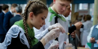 Ленинградским школьникам станет проще определиться с будущей профессией: в регионе усовершенствуют систему профориентации - Гатчинская правда
