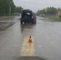 За сутки в Коми двое детей пострадали под колесами автомобилей на пешеходных переходах - Pro Город Ухта