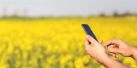 МТС усилила LTE в Мурино, Кудрово и Тихвине - ГАZЕТА.СПб