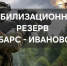 Ивановская область создает мобилизационный резерв «Барс – Иваново». - Палехский район