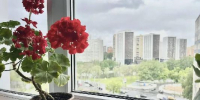 В Подмосковье в этом году отремонтируют более трёх тысяч подъездов - РТВ-Подмосковье