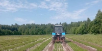 018c7811c79e492698d5bf1bfb39fa2a - Знамя Труда