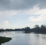 Фото: СК России по Петербургу - Мой район
