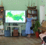 В некотором царстве, зелёном государстве - Детская библиотека