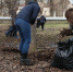 Более 31 тысячи вологжан приняли участие в весенних субботниках - Правительство Вологодской области