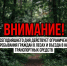 С сегодняшнего дня ограничено пребывание в лесах - Народное слово