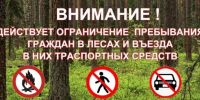 С сегодняшнего дня ограничено пребывание в лесах - Знамя Октября