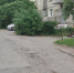 img - ЛДПР